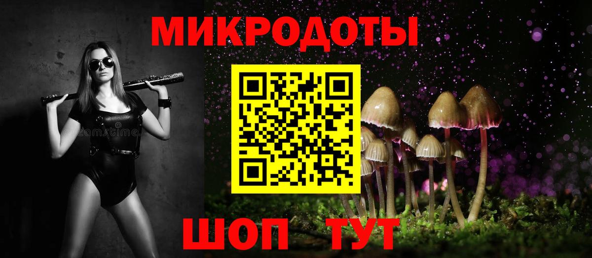 Галлюциногенные грибы Psilocybe  Вход с VPN  Дербент 